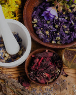 The Art and Science of Herbalism: Nature's Healing Power