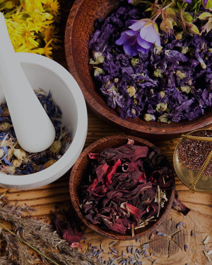 The Art and Science of Herbalism: Nature's Healing Power